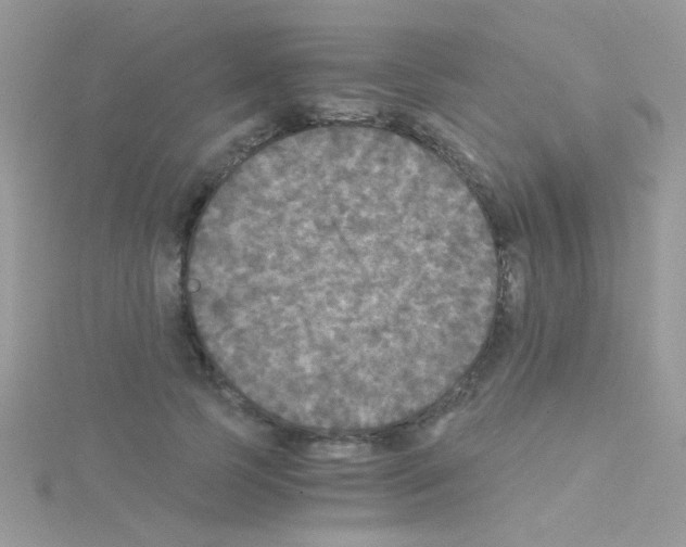 X0000114390745200911271458