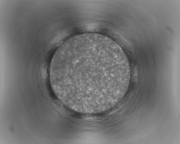 X0000114390746200911271458