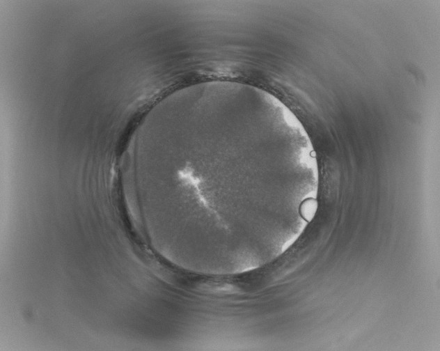 X0000114390747200911271458