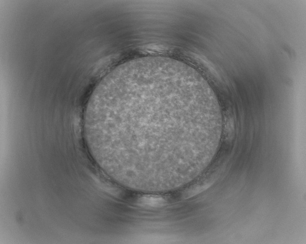 X0000114390749200911271458