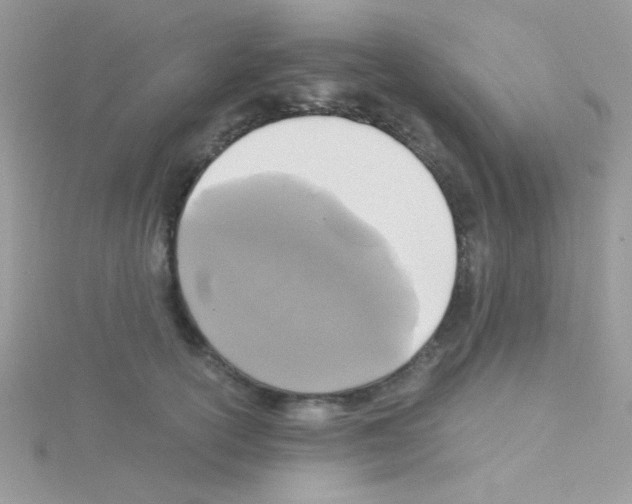 X0000114390754200911271458