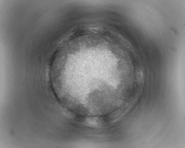 X0000114390757200911271458