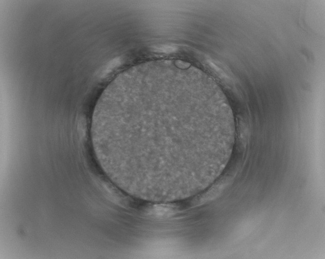 X0000114390758200911271458