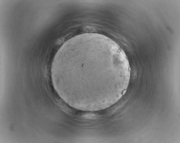 X0000114390759200911271458