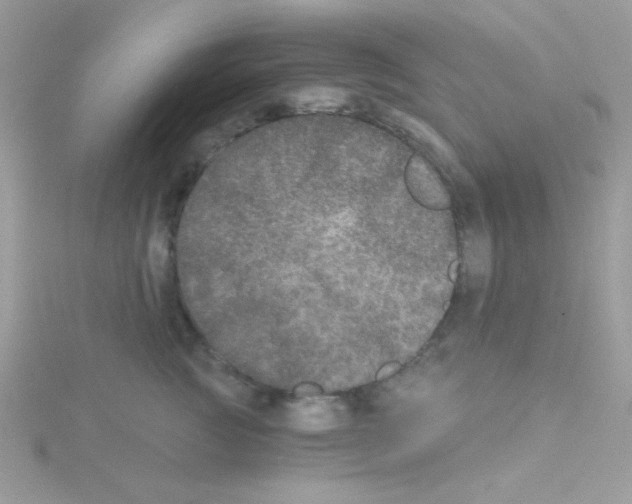 X0000114390761200911271458