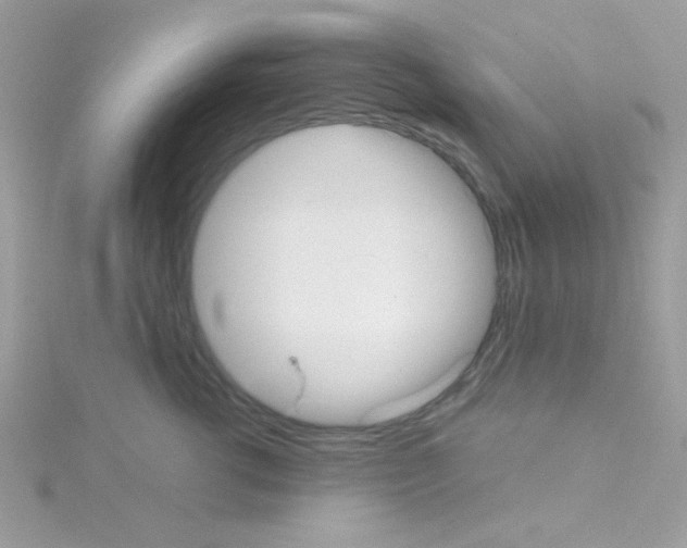 X0000114390762200911271458