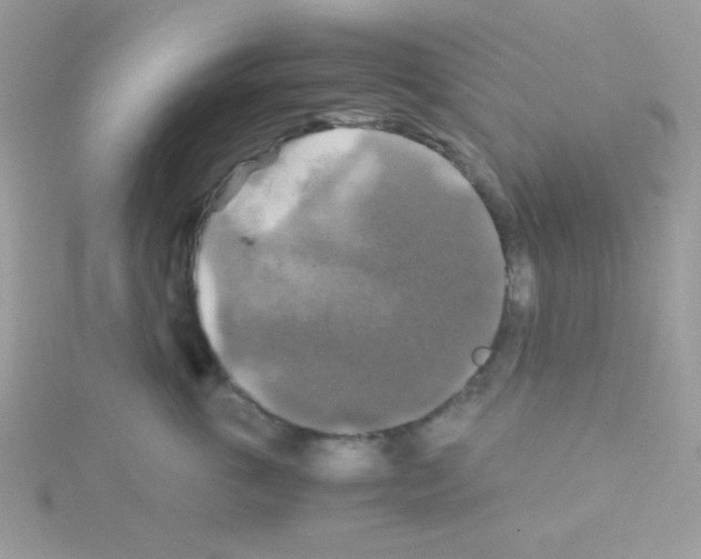 X0000114390763200911271458