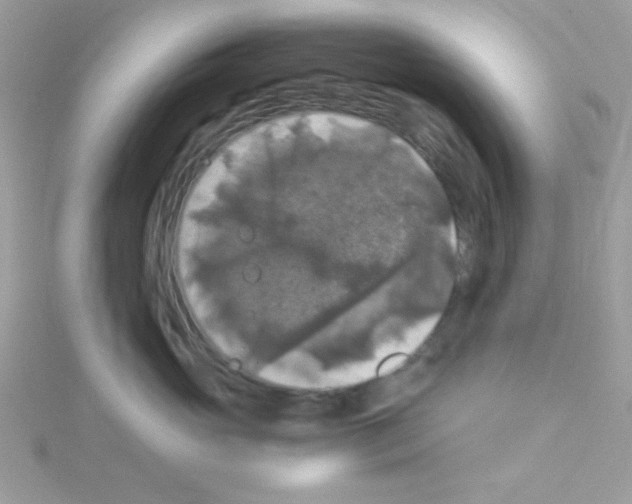 X0000114390765200911271458