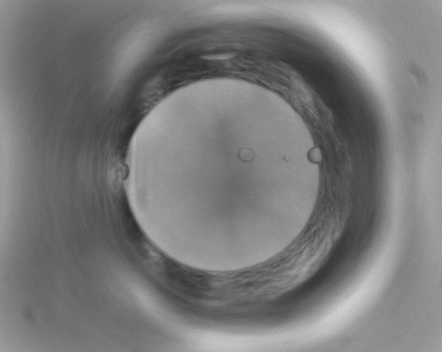 X0000114390766200911271458