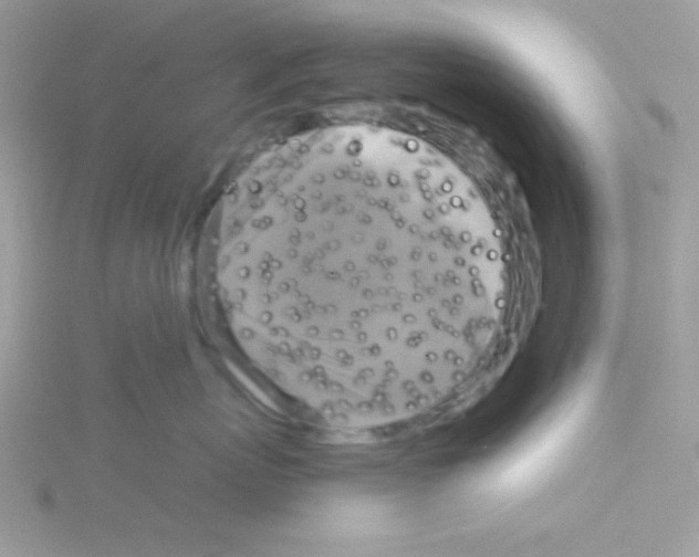 X0000114390767200911271458