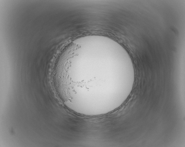 X0000114390769200911271457