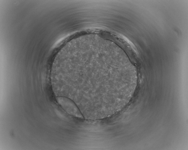 X0000114390775200911271457