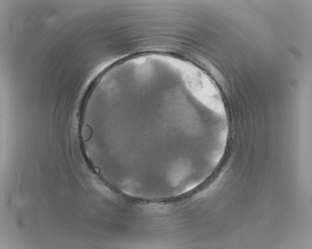 X0000114390779200911271457