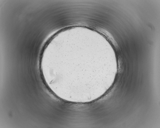 X0000114390780200911271457