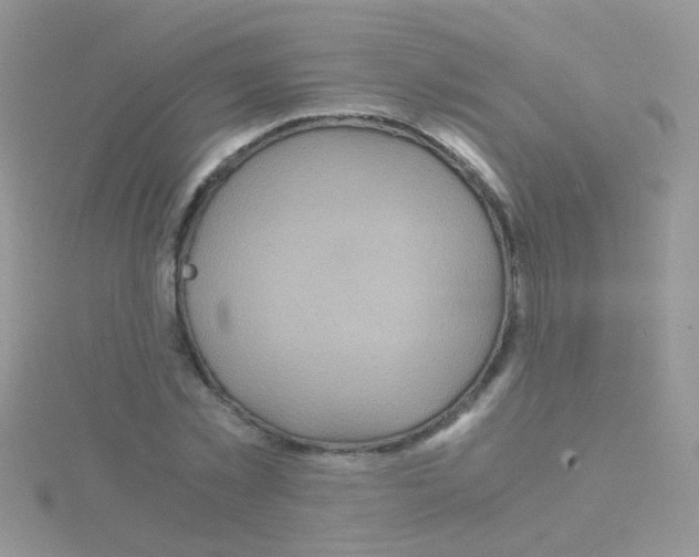 X0000114390781200911271457