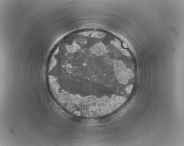 X0000114390783200911271457