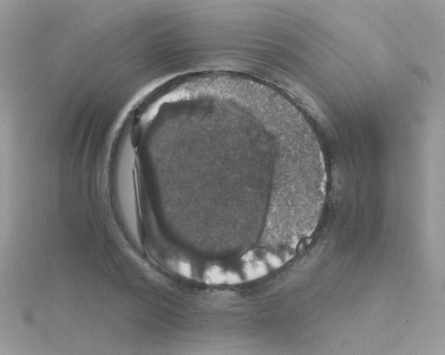 X0000114390784200911271457