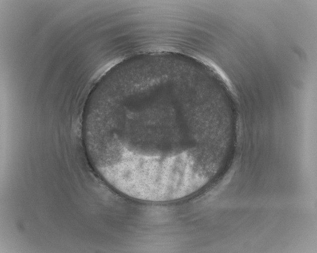 X0000114390785200911271457