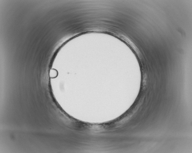 X0000114390787200911271457