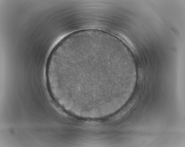 X0000114390788200911271457