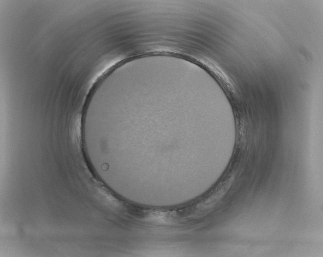 X0000114390790200911271457