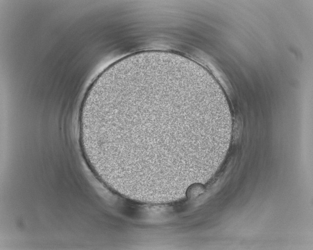 X0000114390795200911271457