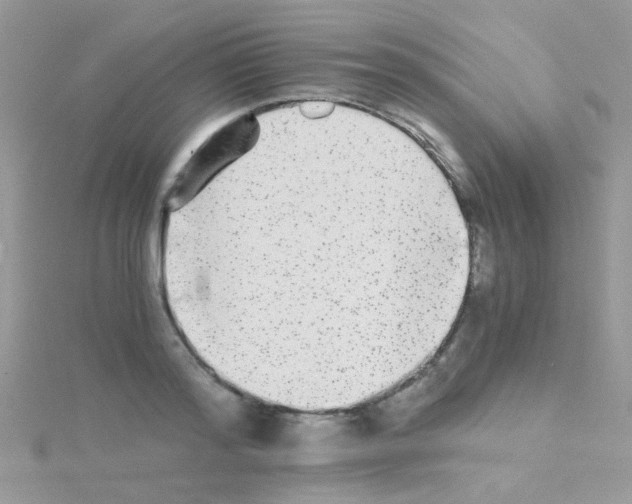 X0000114390796200911271457