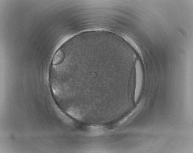 X0000114390797200911271457