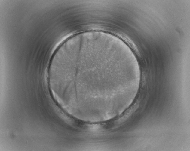 X0000114390798200911271457