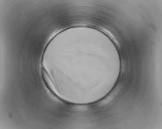 X0000114390802200911271457