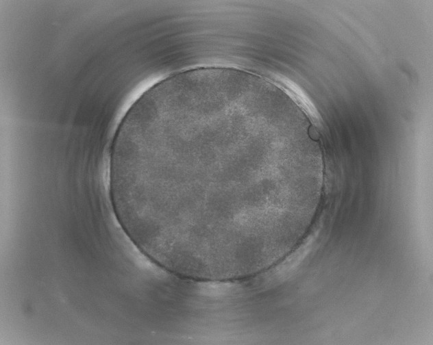 X0000114390804200911271457