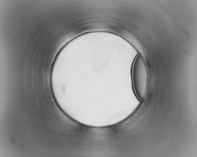 X0000114390805200911271457