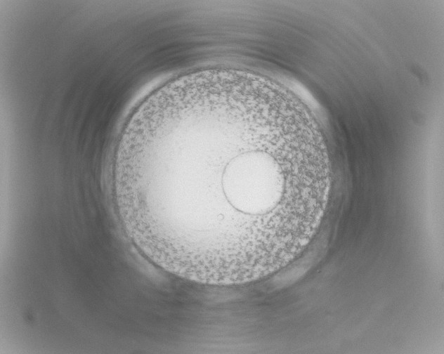 X0000114390807200911271457