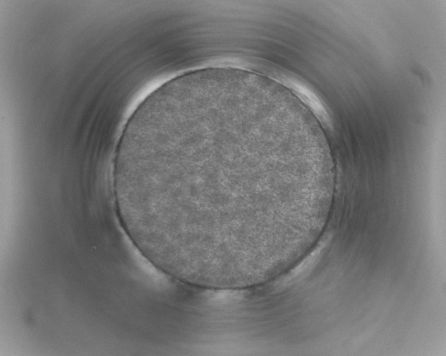 X0000114390808200911271457