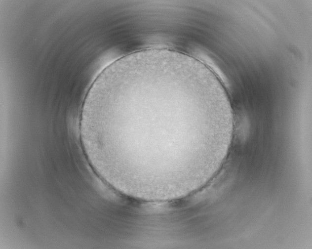 X0000114390810200911271457