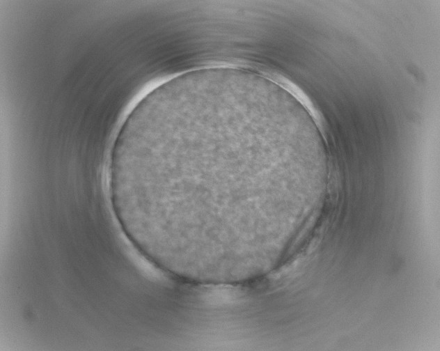 X0000114390811200911271457