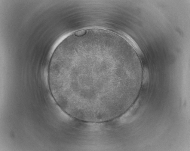 X0000114390812200911271457