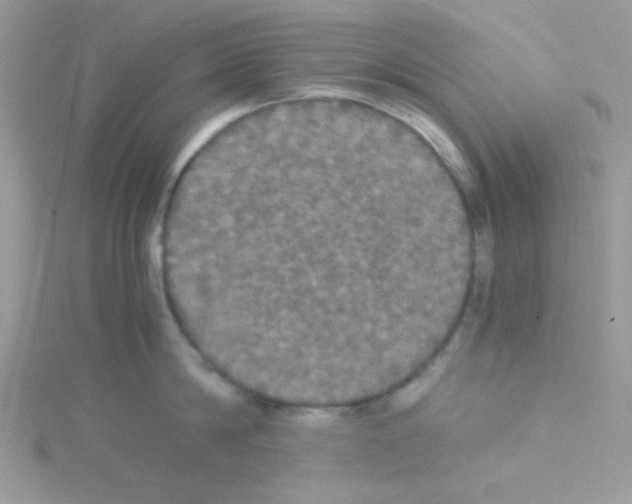 X0000114390814200911271457