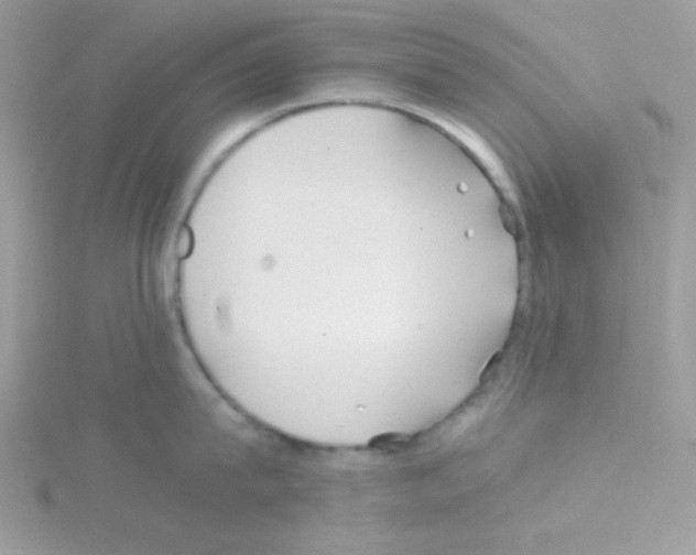 X0000114390815200911271457