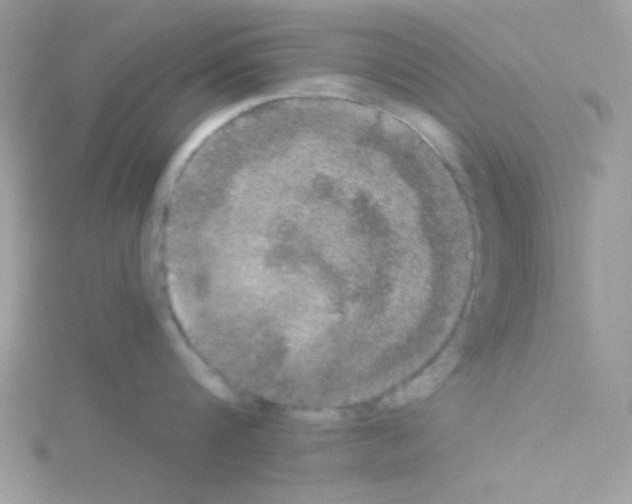 X0000114390816200911271457