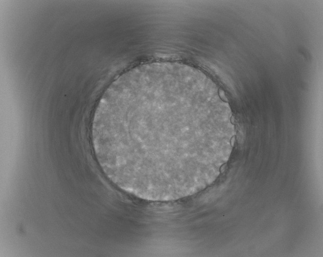 X0000114390817200911271456