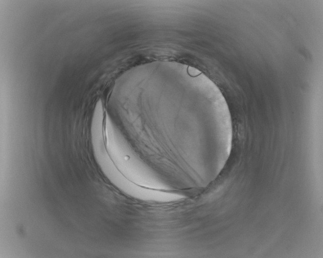 X0000114390818200911271456