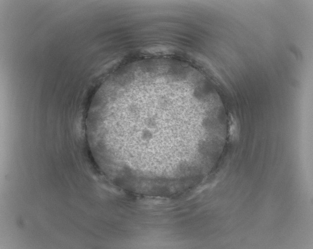 X0000114390819200911271456