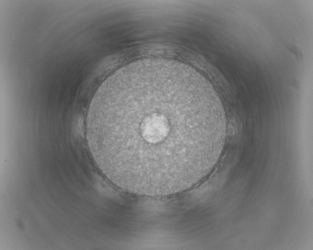 X0000114390820200911271456