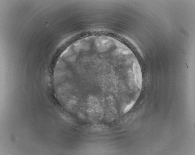 X0000114390823200911271456