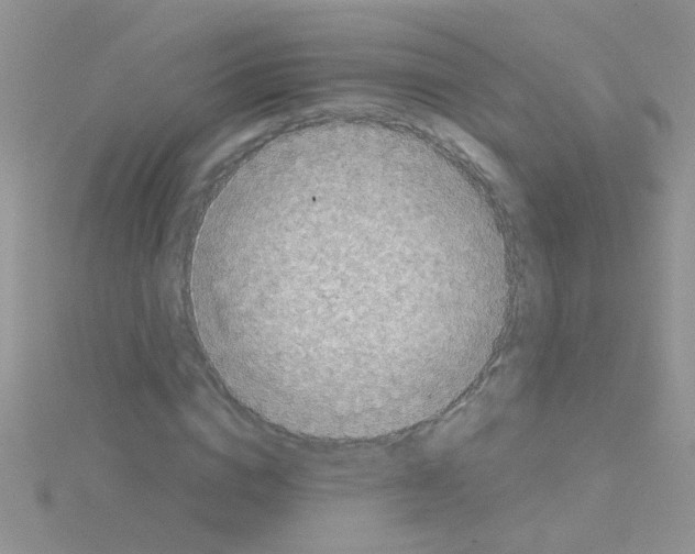 X0000114390824200911271456