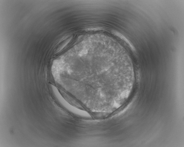 X0000114390825200911271456