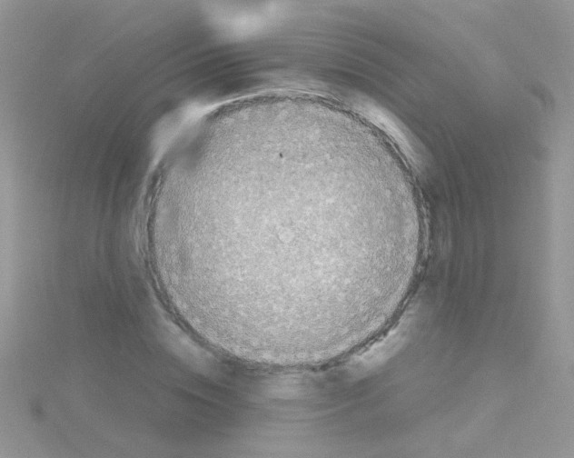 X0000114390828200911271456