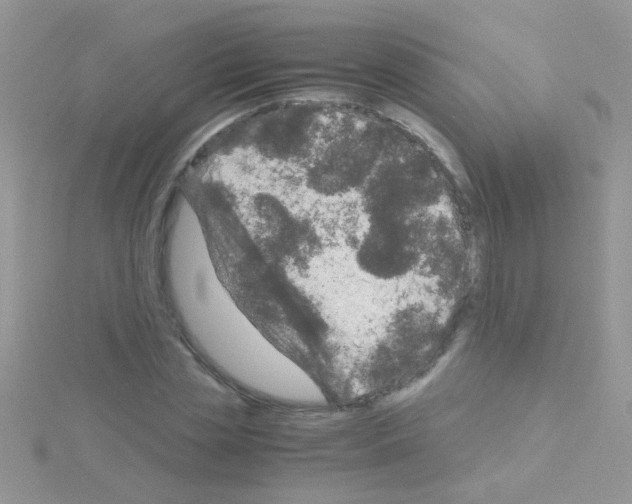 X0000114390829200911271456