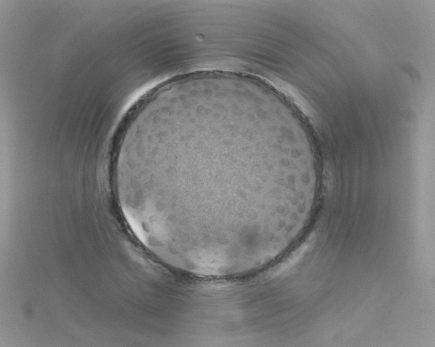 X0000114390830200911271456